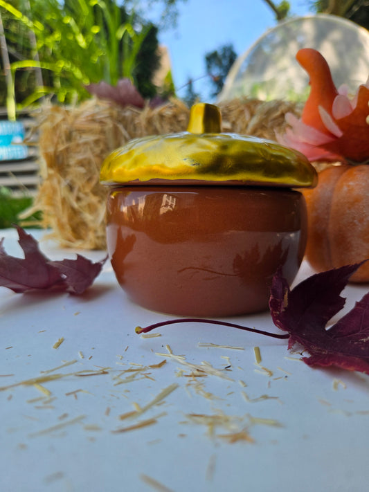 Auburn Lane - Autumn Apple & Spice Ceramic Candle (6 oz)