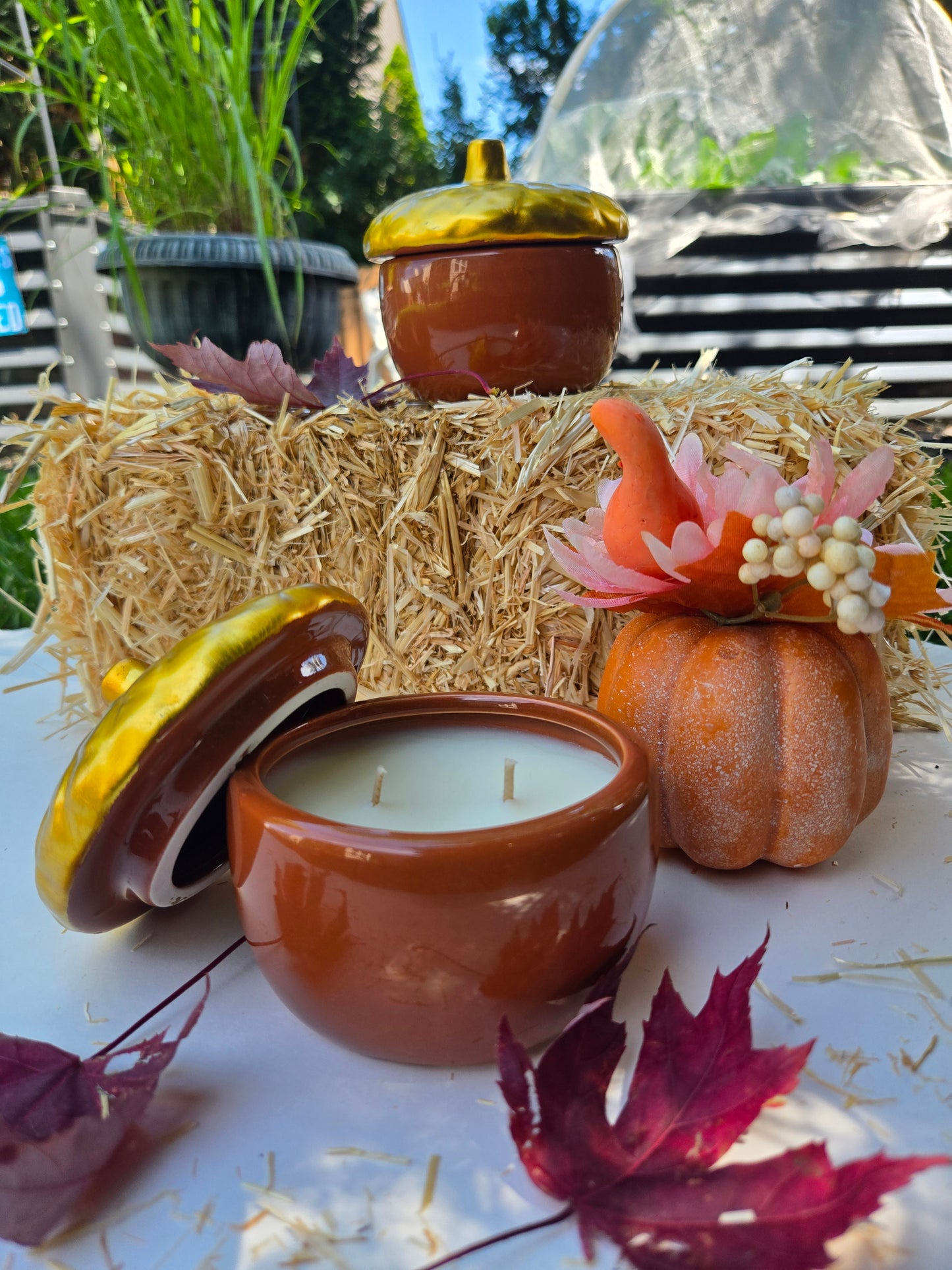 Auburn Lane - Autumn Apple & Spice Ceramic Candle (6 oz)
