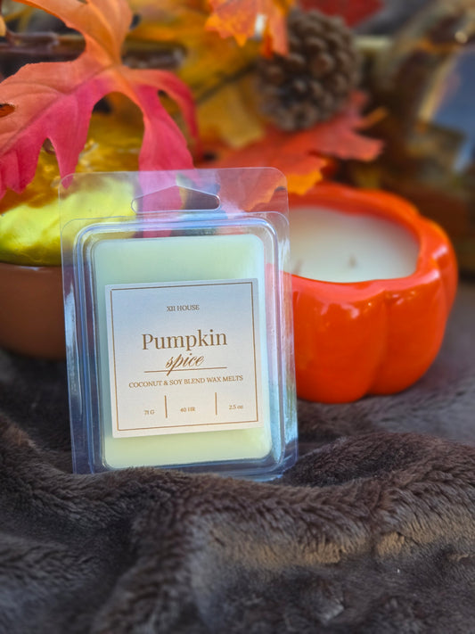 Pumpkin Spice Coconut Soy Wax Melt