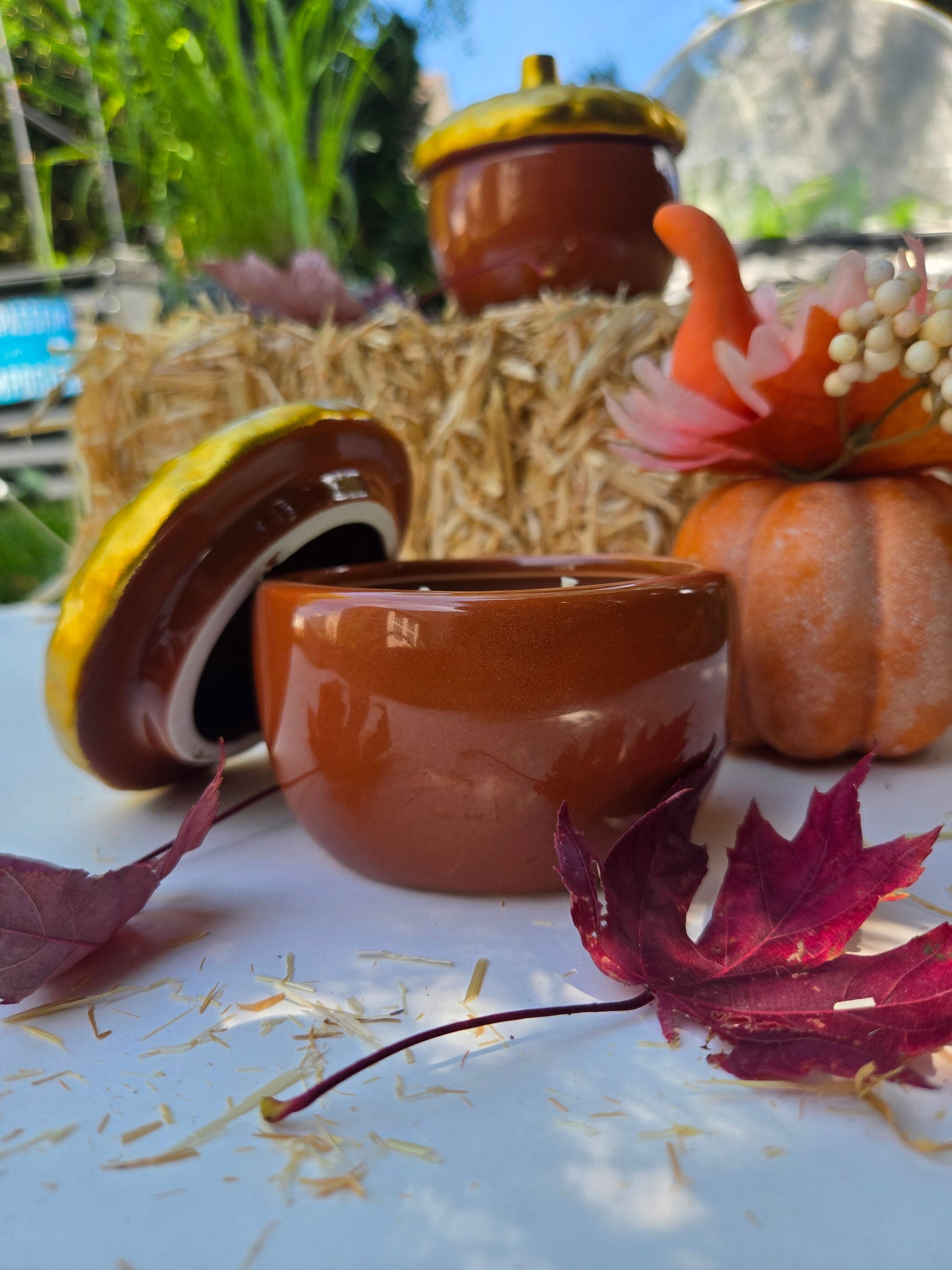 Auburn Lane - Autumn Apple & Spice Ceramic Candle (6 oz)