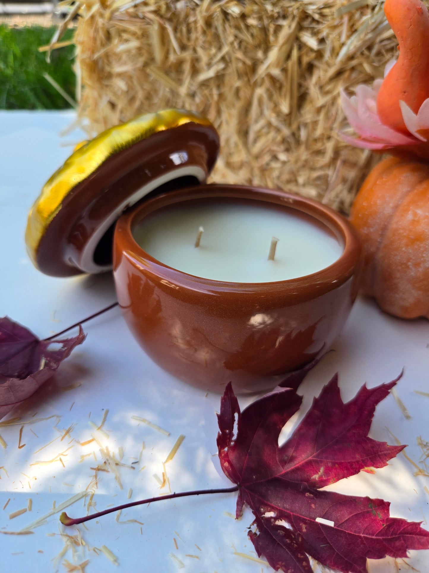 Auburn Lane - Autumn Apple & Spice Ceramic Candle (6 oz)