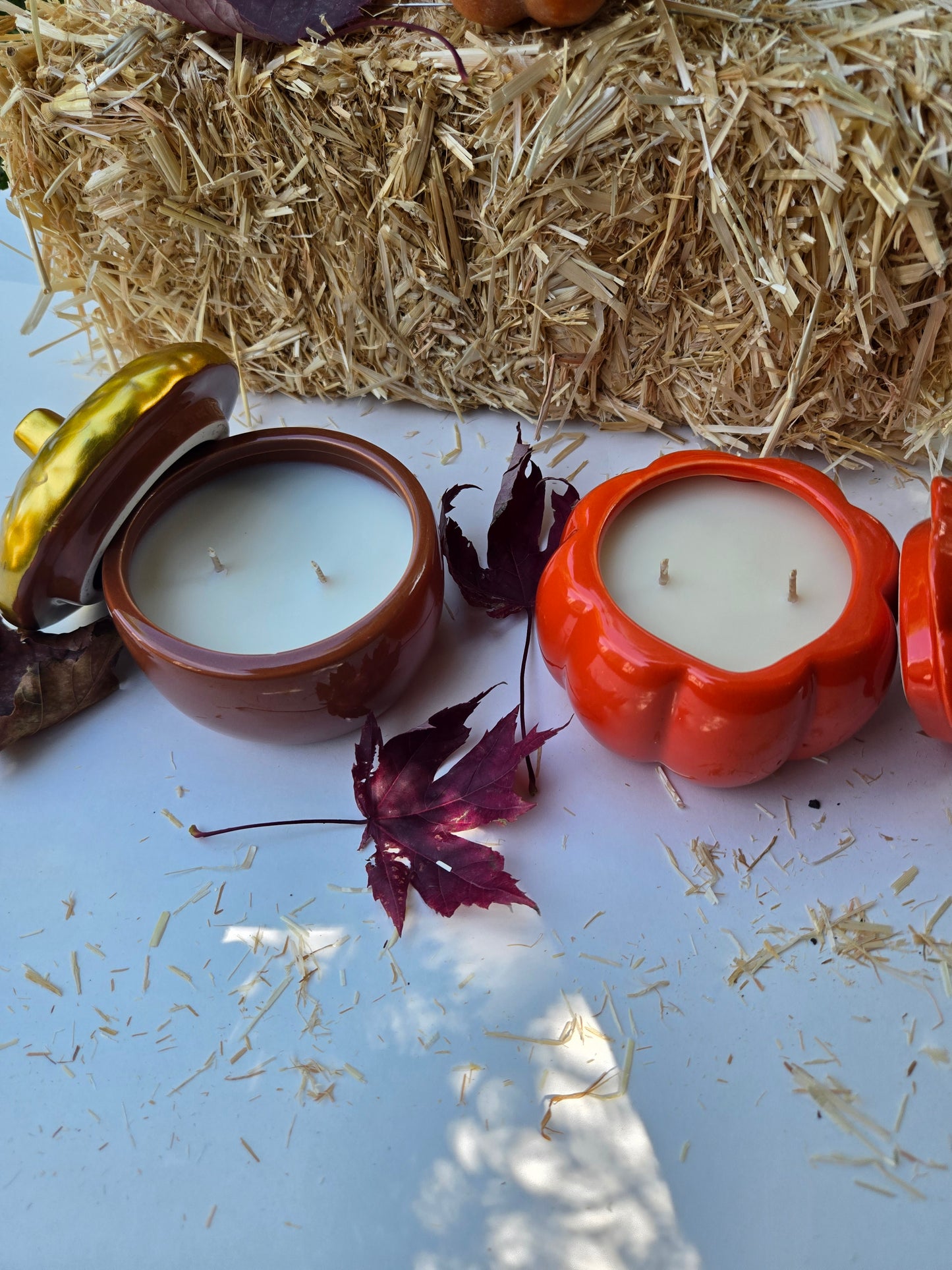 Auburn Lane - Autumn Apple & Spice Ceramic Candle (6 oz)